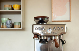 Conjunto de alças para Sage Barista Express, Pro & Touch