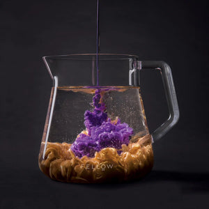 Jarro de serviço transparente em vidro com design moderno para barista e serviço de café preciso, Novidades, tudo sobre café.