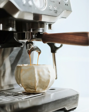 Portafilter para Sage Barista Série (54 mm) - Barista e Espresso